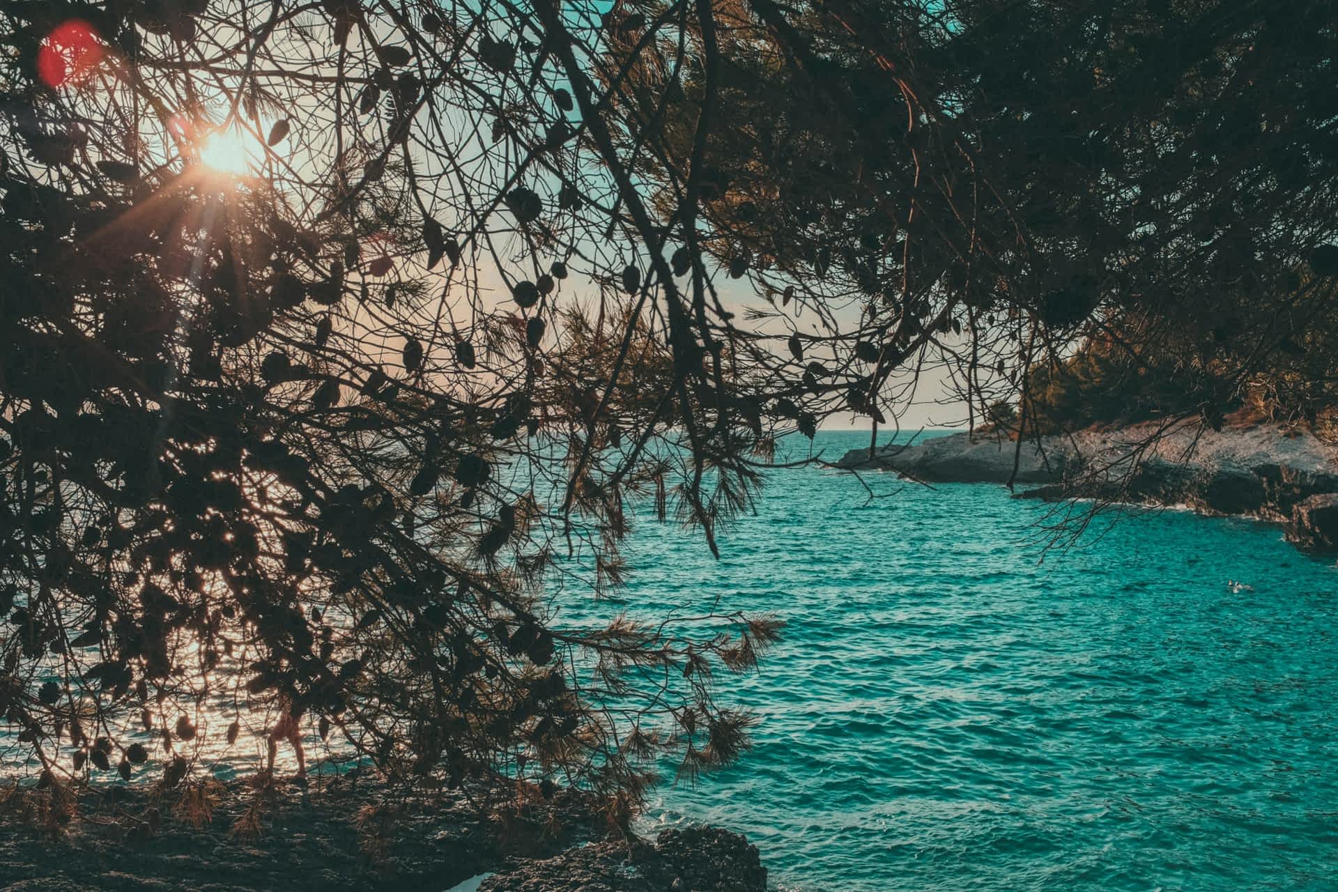 Park prirode zaštićeno područje (Rt.Kamenjak)