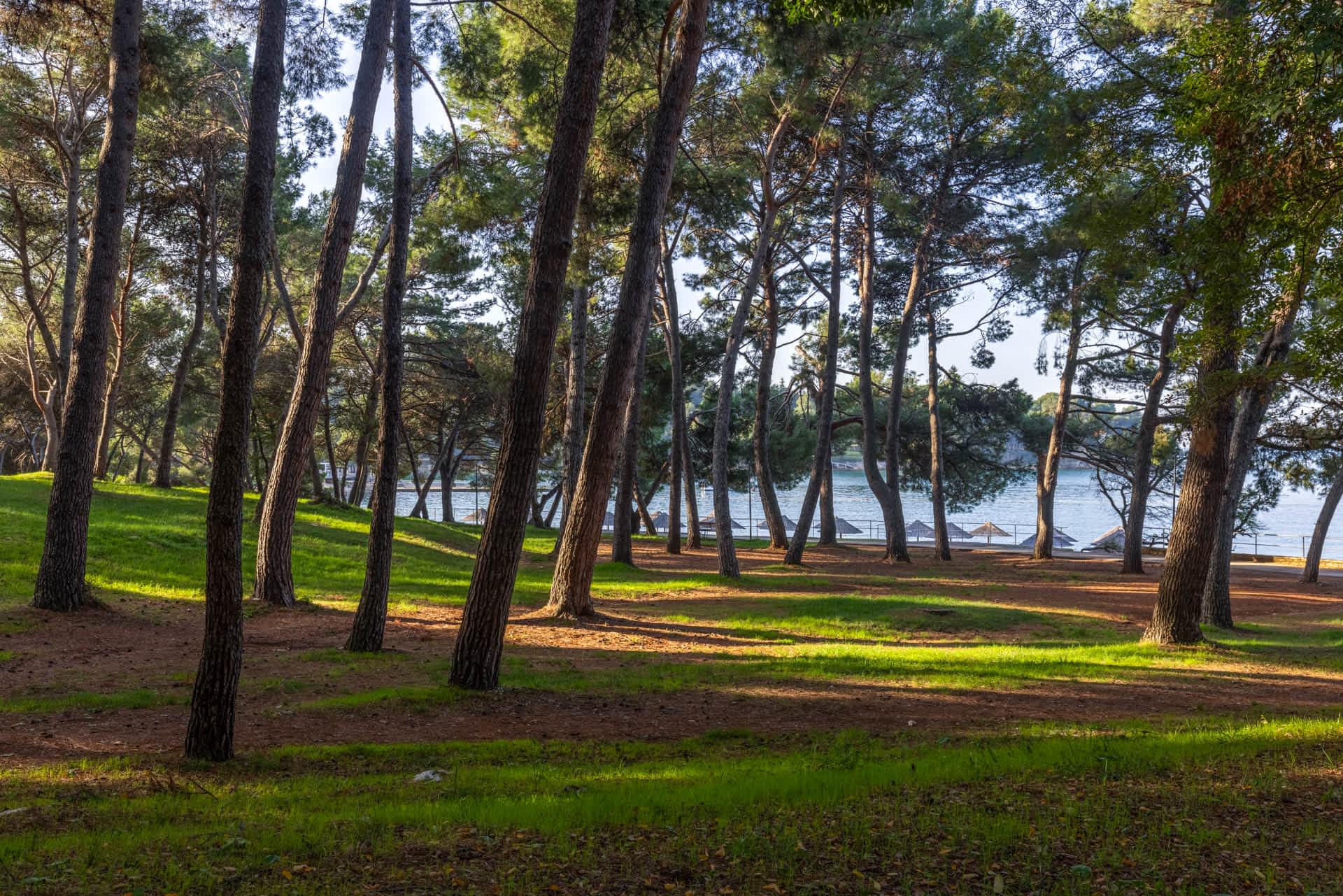 Spiagge per animali domestici a Cittanova