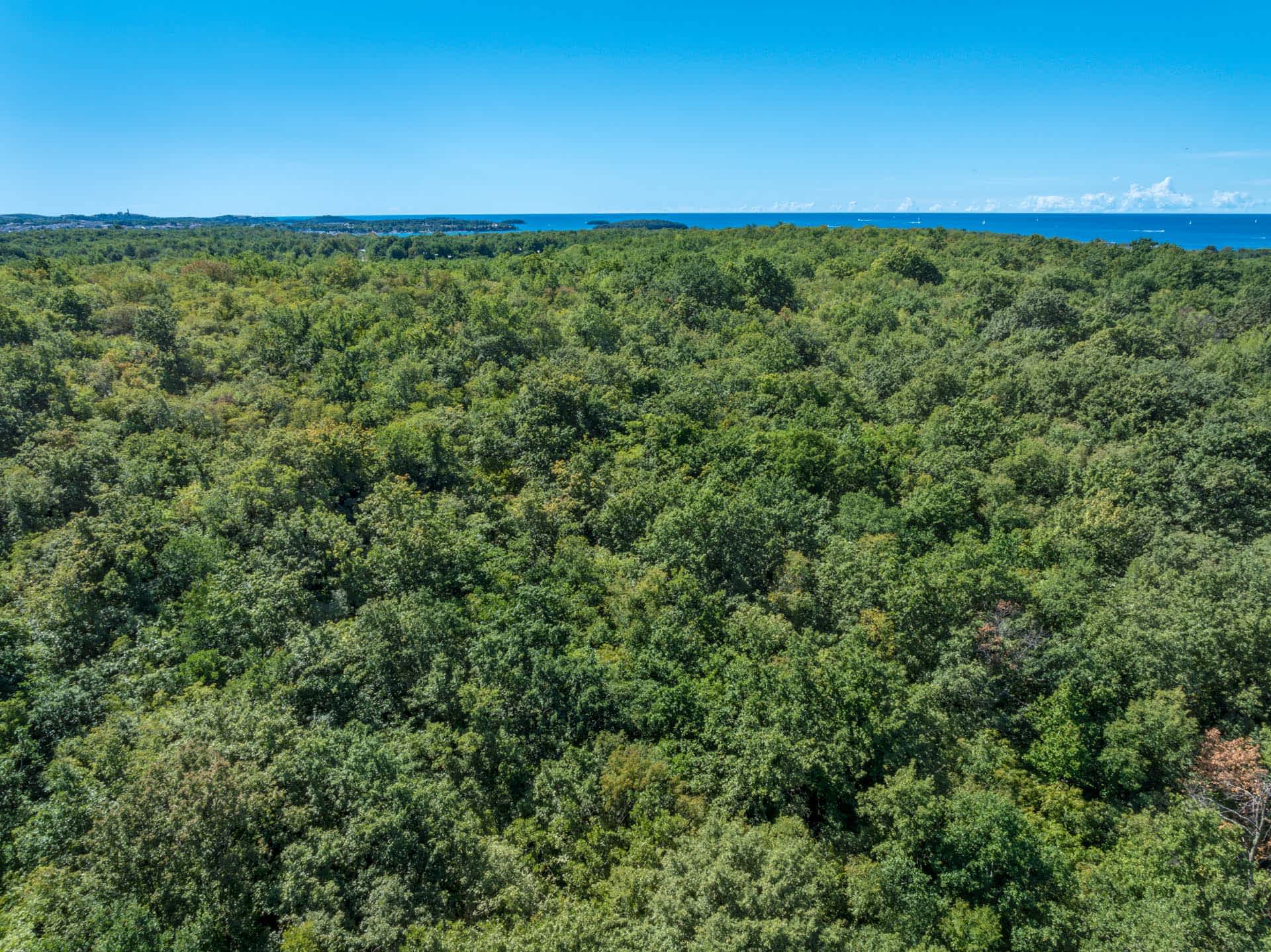 Novigrad i okolica – priroda