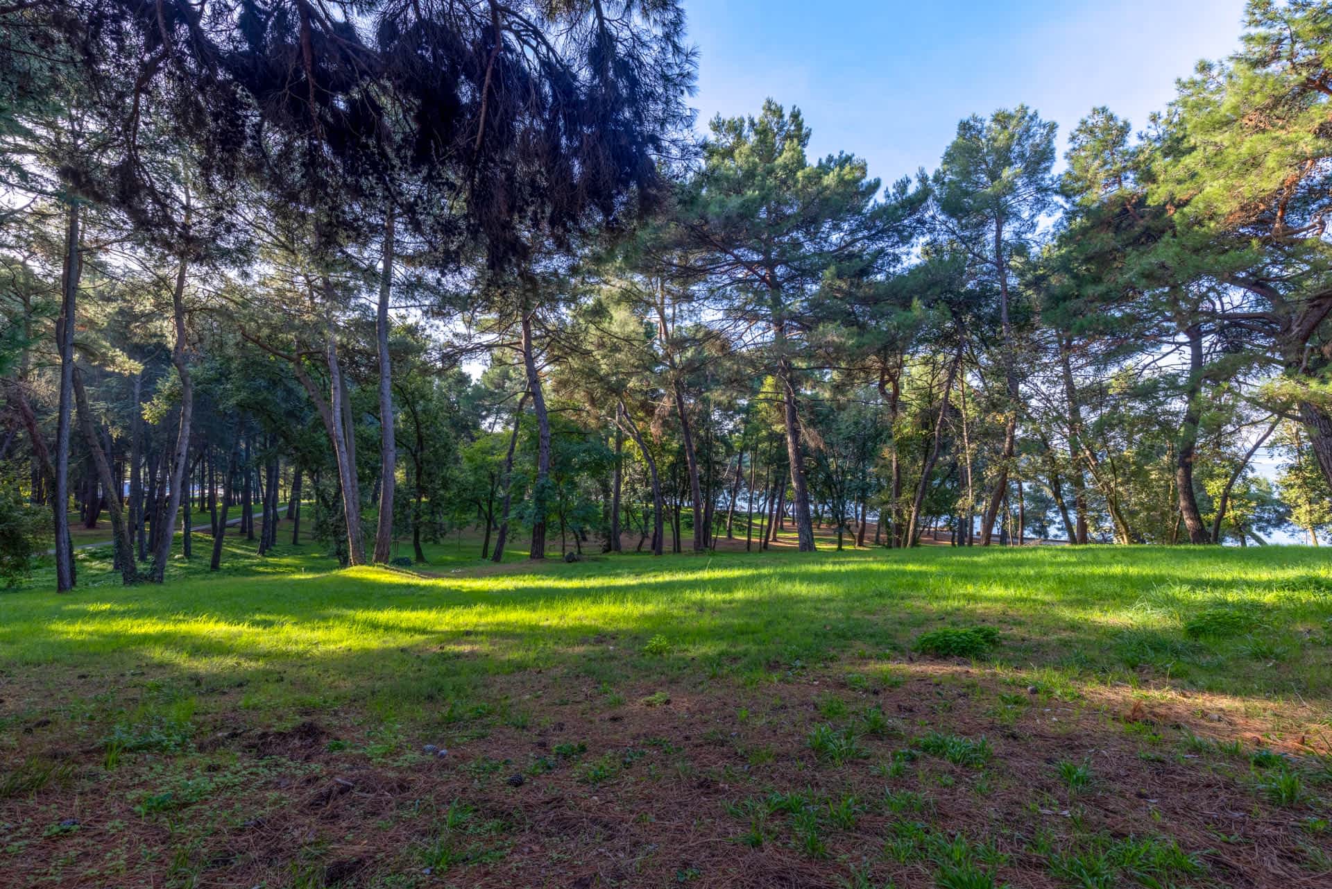 Nature (Poreč and surroundings)